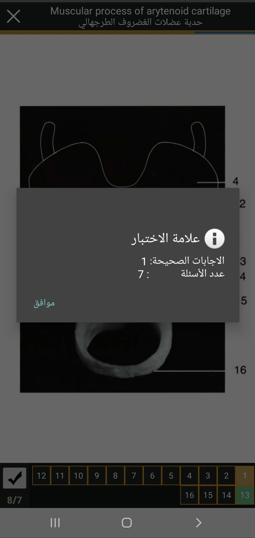 تطبيق التشريح بالعربي | أول تطبيق يساعدك على تعلم التشريح للأندرويد 11 التقييم في تطبيق التشريح بالعربي