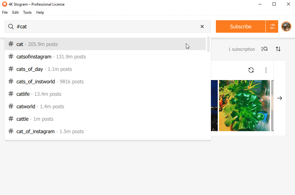 تحميل 4K Stogram: شرح تحميل الصور والفيديو من انستقرام بالدقة الكاملة! 8 select suitable option windows