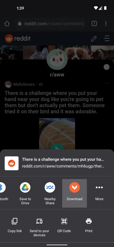 تحميل Viddit .APK 2.12 "إصدار 2021" شرح تنزيل فيديوهات رديت على الاندرويد! 6 Video Downloader for Reddit 03