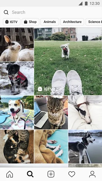 تحميل انستقرام Instagram APK لحظاتك الرائعة في صورة! 6 انستجرام
