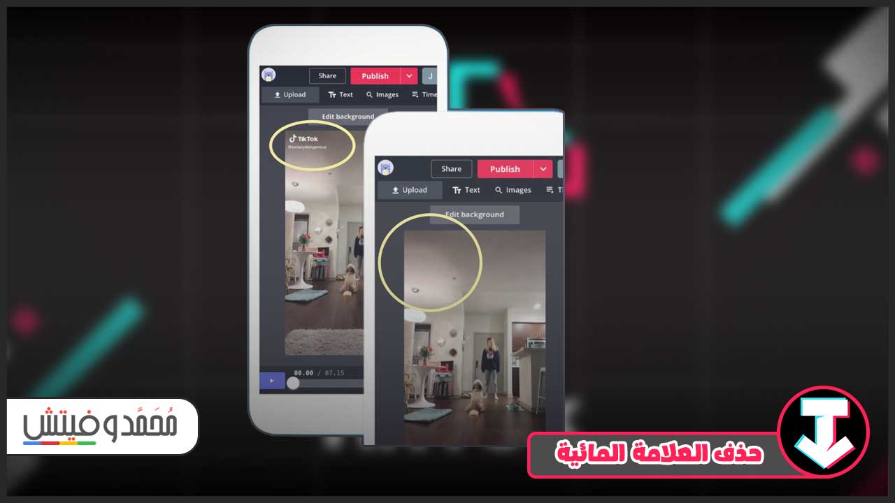 تحميل من التيك توك بدون حقوق للاندرويد 2024 SSTiktok APK ملفات Mp3 أو فيديو! 7 تنزيل فيديو تيك توك بدون علامه