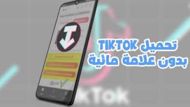 تحميل من التيك توك بدون حقوق للاندرويد 2024 SSTiktok APK ملفات Mp3 أو فيديو! 42 ssstiktok تحميل من التيك توك بدون حقوق APK